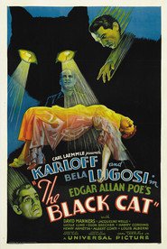 Another movie The Black Cat of the director Edgar G. Ulmer.