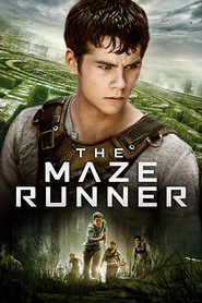 Another movie The Maze Runner of the director Wes Ball.