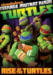 Teenage Mutant Ninja Turtles is similar to Big Hero 6.