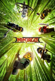 Another movie The LEGO Ninjago Movie of the director Charlie Bean.
