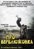Another movie Pro verblyujonka of the director Boris Ablyinin.