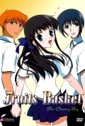 Another movie Fruits Basket of the director Akitaro Daichi.