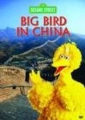 Another movie Big Bird in China of the director John Stone.
