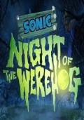 Another movie Sonic: Night of the Werehog of the director Takashi Nakashima.