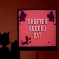 Another movie Shutter Bugged Cat of the director Tom Ray.